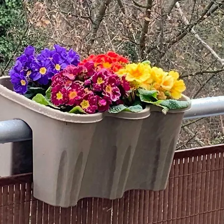 Center Prestige Δρέσδη